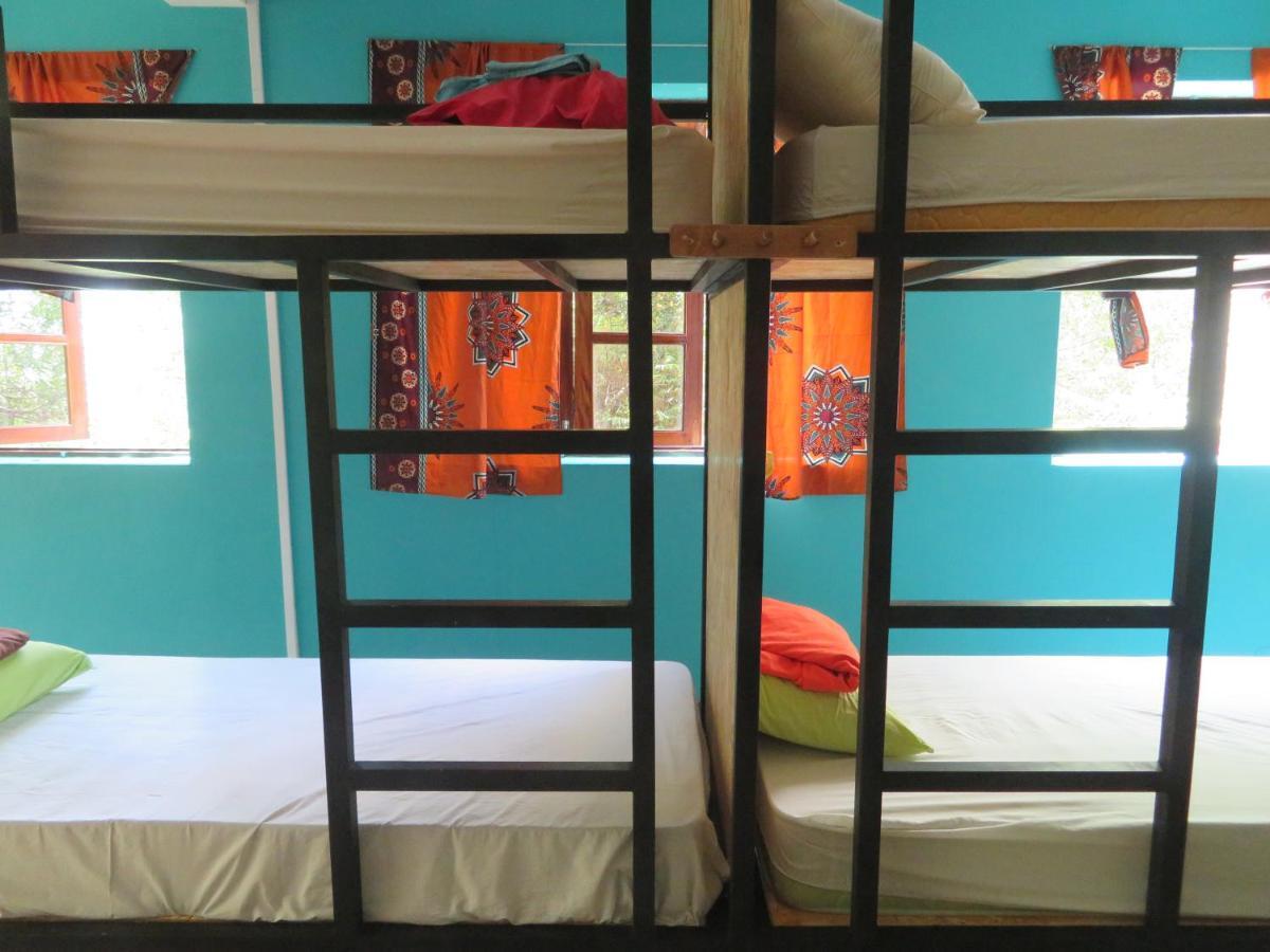 Praiadise Hostel Vila Nova 外观 照片