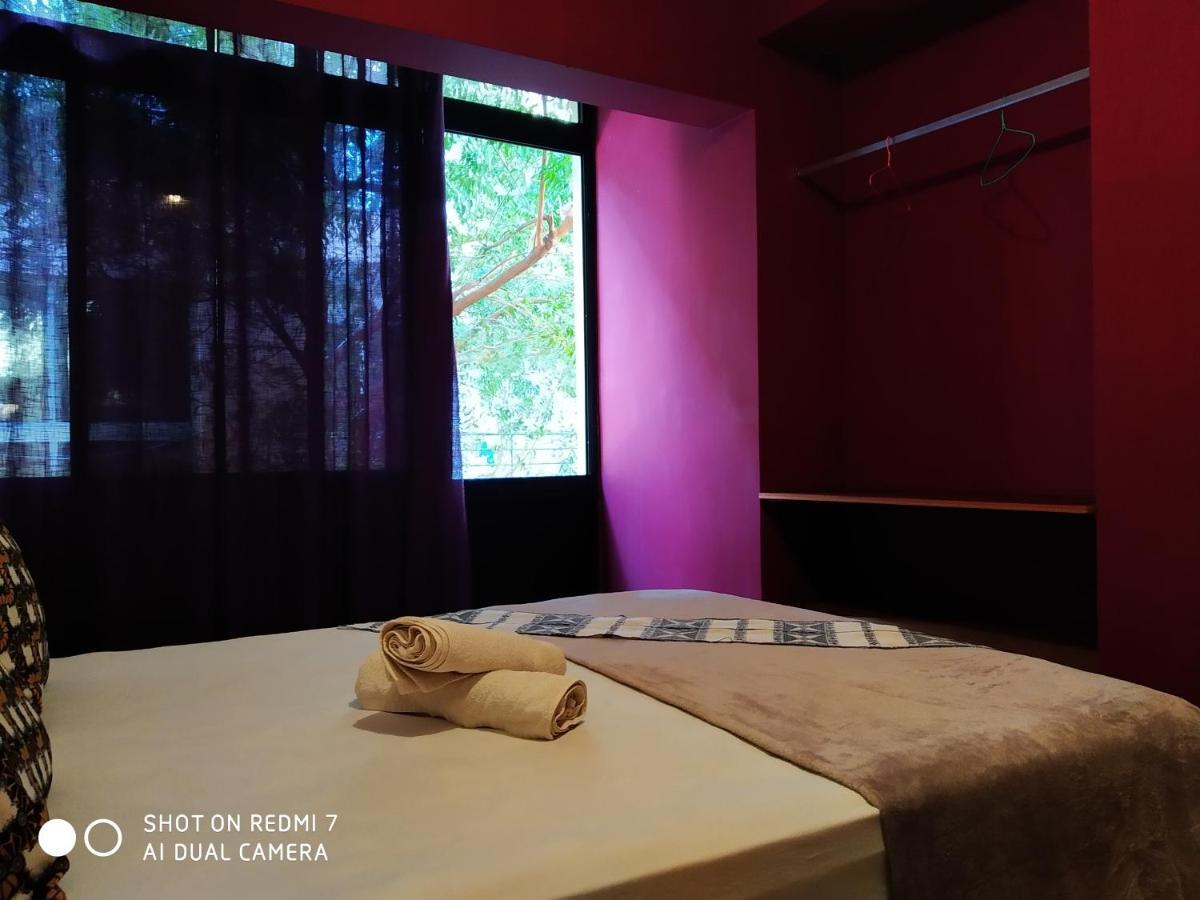Praiadise Hostel Vila Nova 外观 照片