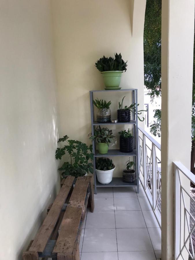 Praiadise Hostel Vila Nova 外观 照片